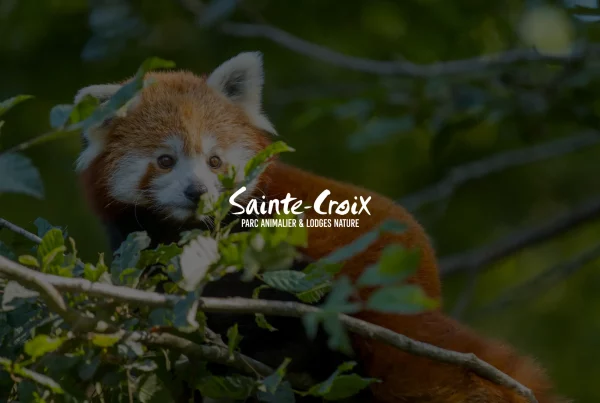 AGAT et le Parc Sainte-Croix poursuivent leur partenariat webmarketing