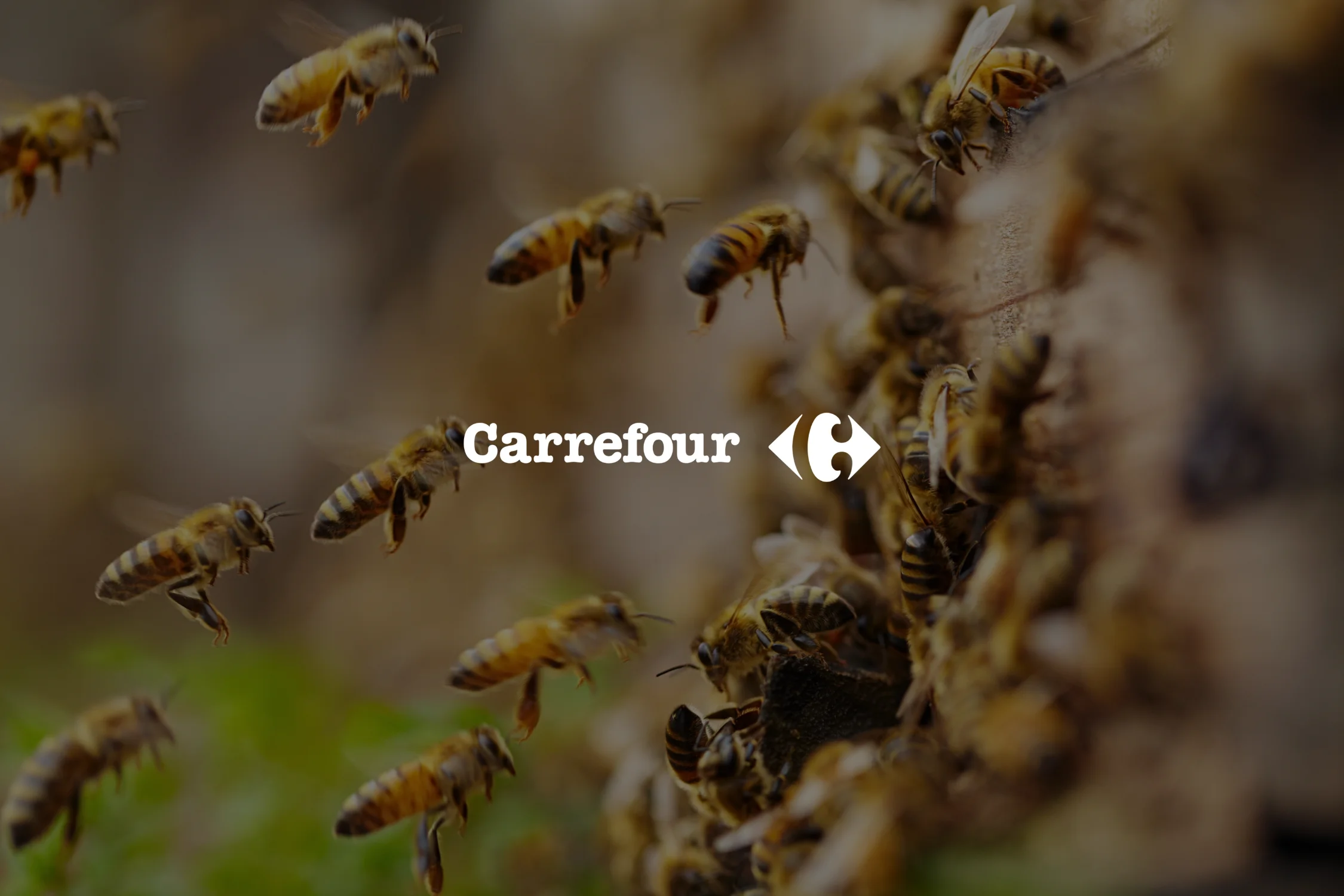 Des abeilles travaillent pour ramener le miel de la marque Reflets de France (Carrefour)