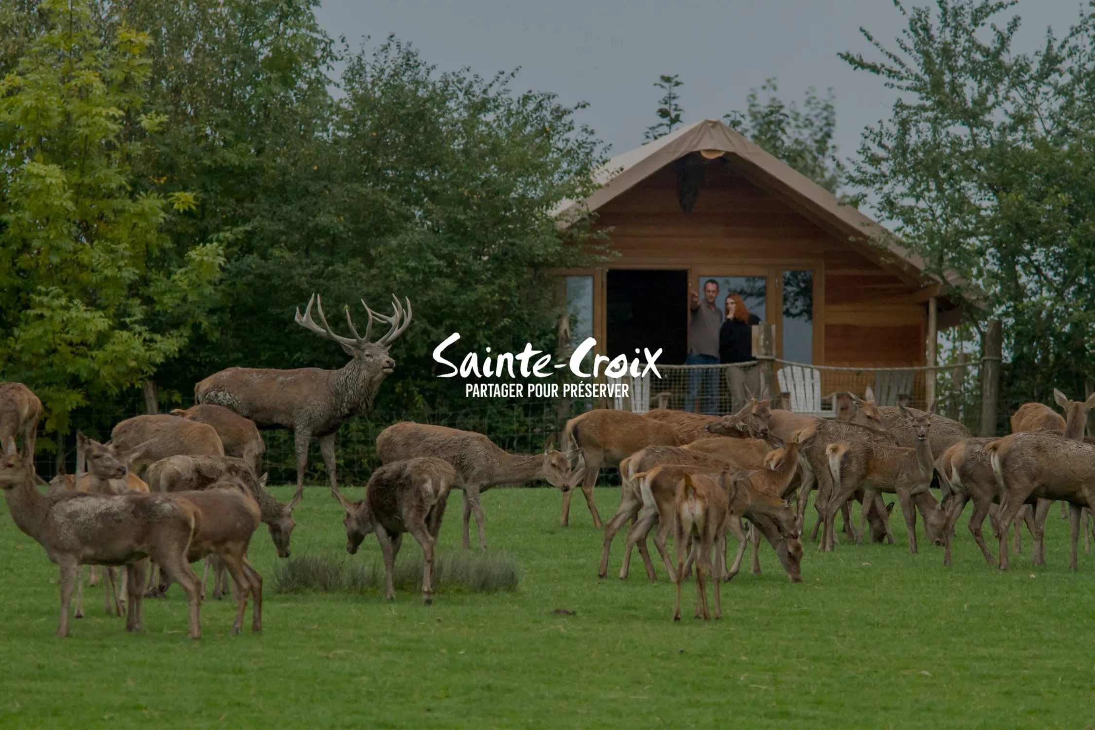 Un couple dans un lodge nature face aux animaux du parc de sainte-croix