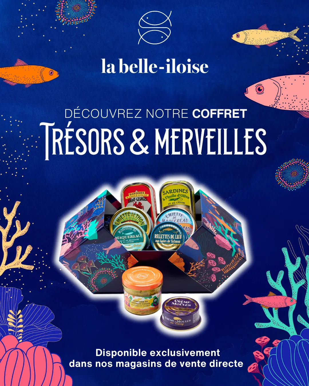 Visuel publicitaire Meta réalisé par AGAT pour la belle-iloise : le coffret de Noël Trésors & Merveilles ouvert sur fond marin bleu nuit, campagne de fin d'année 2025