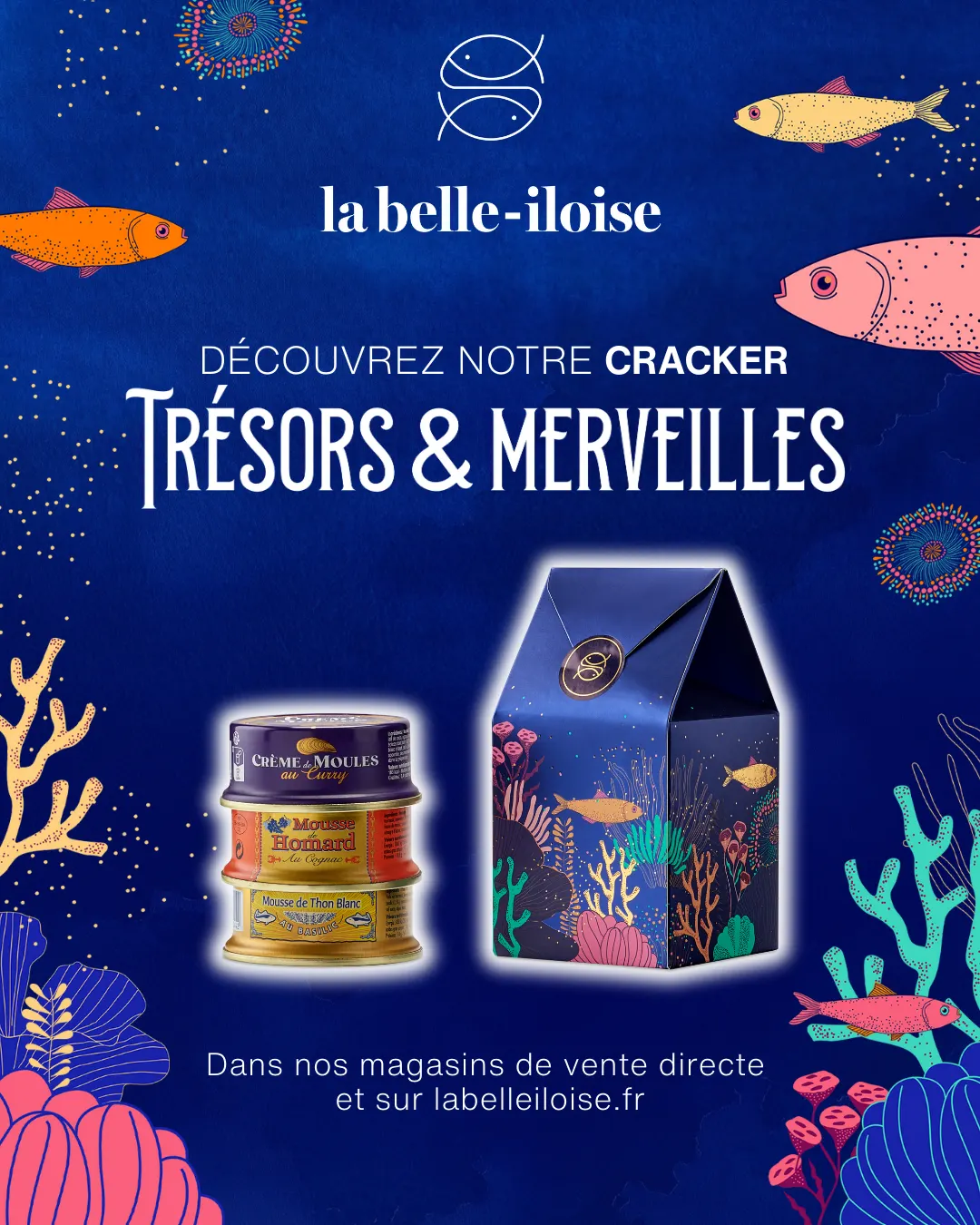Visuel publicitaire Meta réalisé par AGAT pour la belle-iloise : le cracker Trésors & Merveilles et ses conserves, campagne de fin d'année 2025